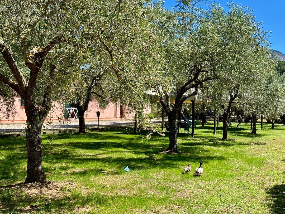 Residence Terme Isola D'Elba Srl Portoferraio Zewnętrze zdjęcie
