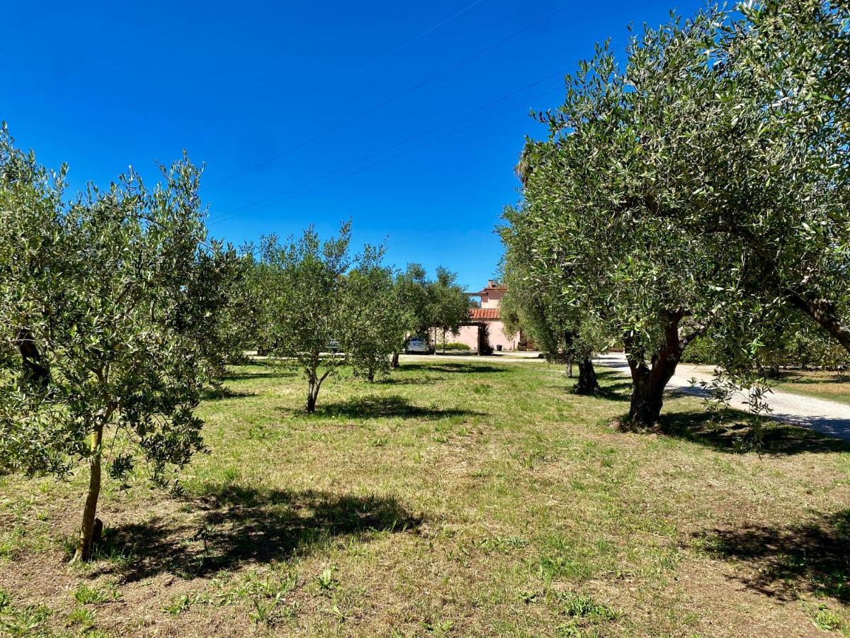 Residence Terme Isola D'Elba Srl Portoferraio Zewnętrze zdjęcie