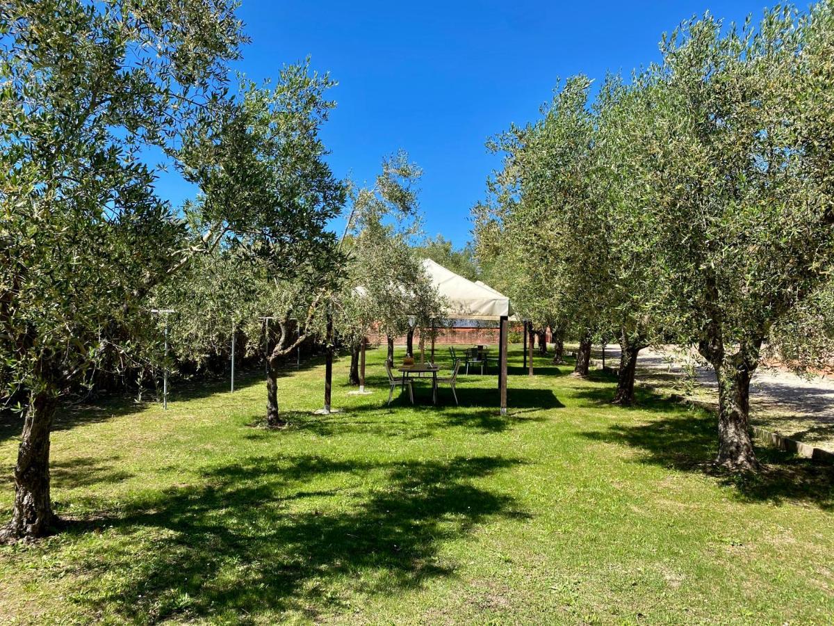 Residence Terme Isola D'Elba Srl Portoferraio Zewnętrze zdjęcie