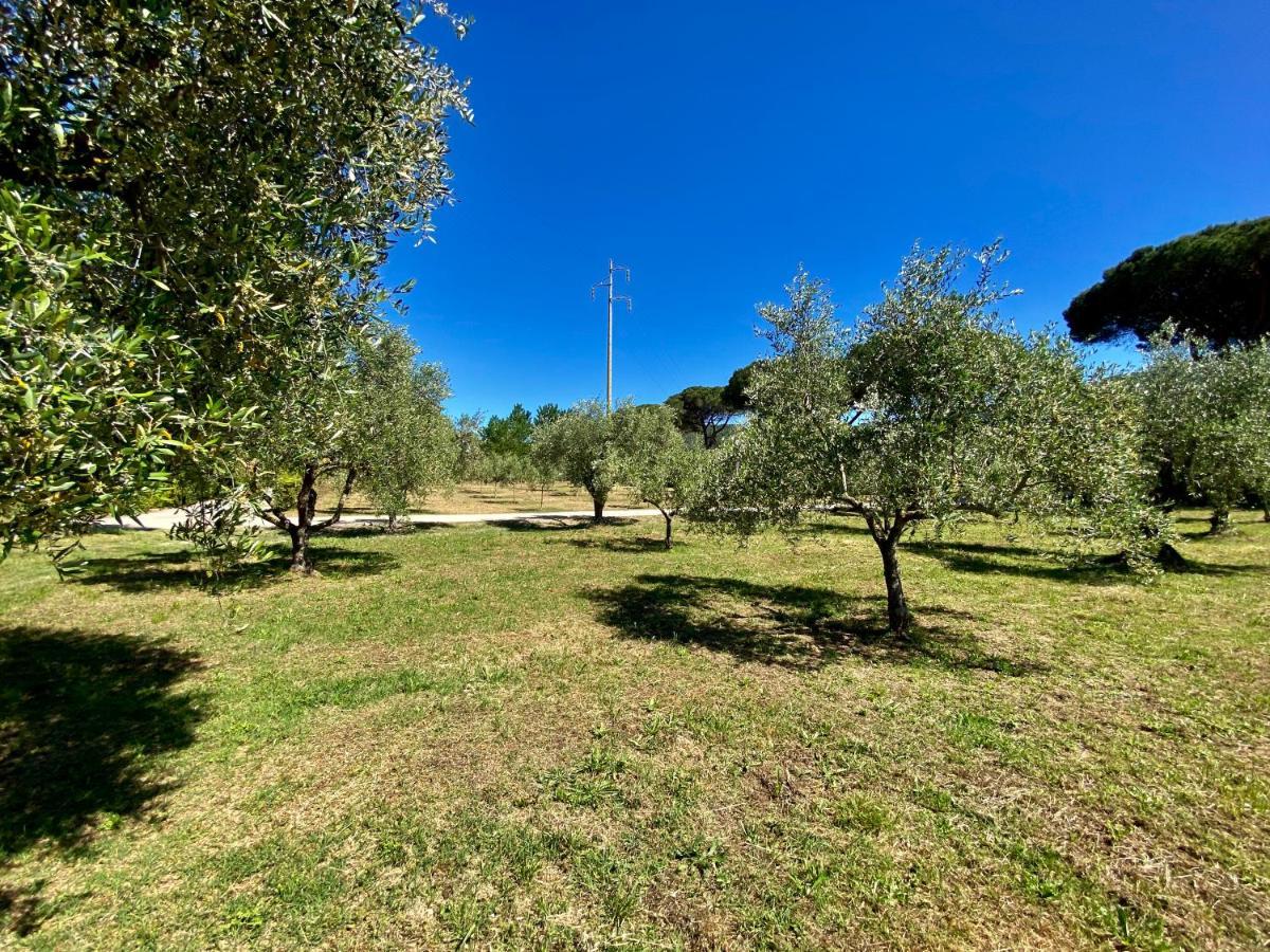 Residence Terme Isola D'Elba Srl Portoferraio Zewnętrze zdjęcie